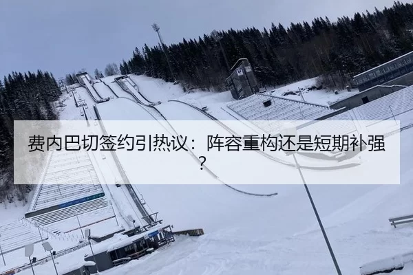 费内巴切签约引热议：阵容重构还是短期补强？